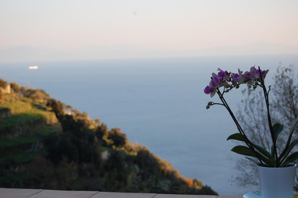 Tenuta Mamma Carmela Amalfi Ngoại thất bức ảnh